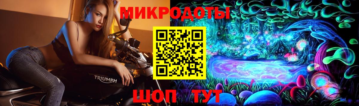 Псилоцибиновые грибы Psilocybine cubensis Гусь-Хрустальный