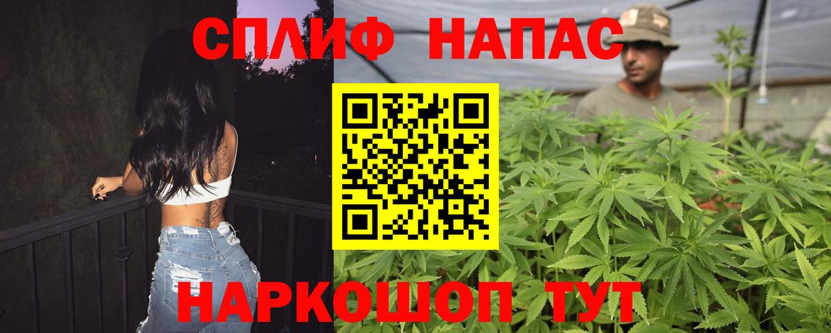 Каннабис MAZAR Гусь-Хрустальный
